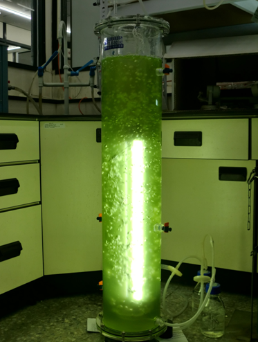 生物培養裝置-光反應器