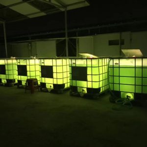 集裝桶噸桶藻類培養器
